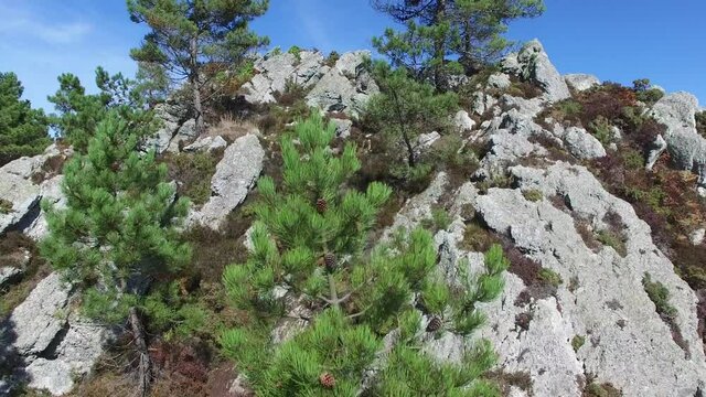L'&Icirc;le Vierge / Bretagne - France - Drone