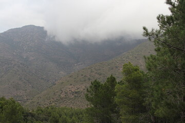 Obraz premium Cloudy day in the mountains