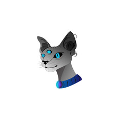 gray three-eyed cat without a background