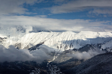 Snow-covered mountain ranges covered with coniferous forests in the clouds