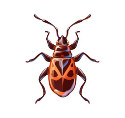 Cute firebug in cartoon style, vector illustration