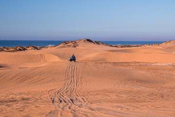 Essaouira, Morocco. October 10, 2021. People driving quadbikes through sandy dunes at beautiful sunny beach, People riding offroad vehicle on beach © Aerial Film Studio