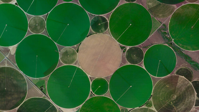 Center pivot irrigation system, circular fields and food safety, looking down aerial view from above, bird’s eye circular fields, Washington, USA