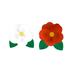 白色と赤色の椿（つばき）