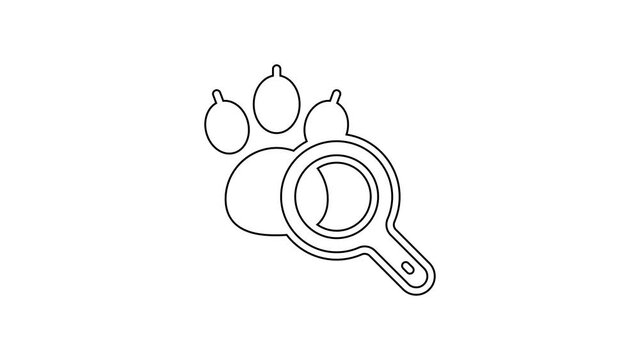 Black line Paw search icon isolated on white background. Magnifying glass with animal footprints. 4K Video motion graphic animation