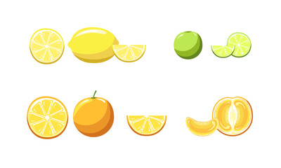 Illustration of fruit, orange, lemon, lime