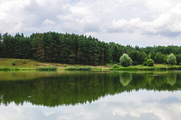 Summer vacation on the lake next to the forest. Pine forest near the lake in cloudy weather in summer