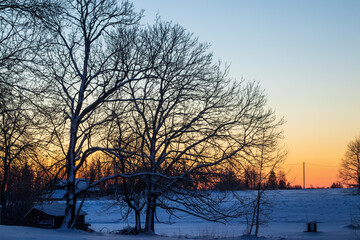 sunset in the winter