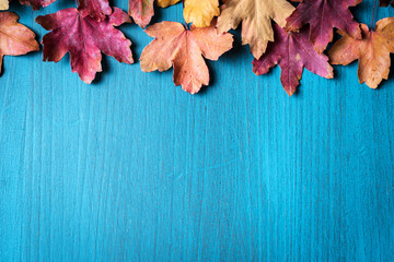 Naklejka na ściany i meble Light blue wooden background with dry autumn leaves on top .Copy space.