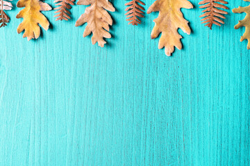Greenish blue wooden background with dry autumn leaves on top. Copy space.