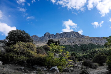 Sierra.  Montagnes d'Andalousie. Espagne.