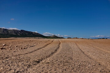 Champs cultiv&eacute;s. Altiplano. Andalousie. Espagne.