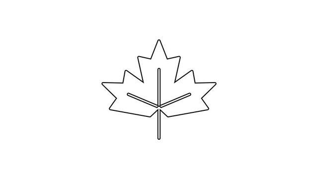Black line Canadian maple leaf icon isolated on white background. Canada symbol maple leaf. 4K Video motion graphic animation