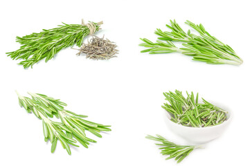 Collage of rosemary isolated on a white background