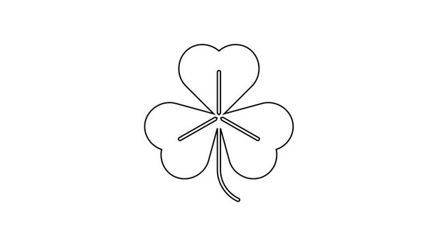 Black line Clover icon isolated on white background. Happy Saint Patrick day. 4K Video motion graphic animation