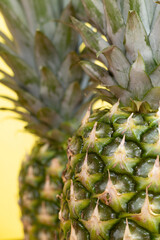 pineapple close up