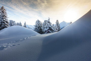 Spuren im Neuschnee in den Bergen des Zillertal in Österreich