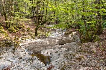 Dry stream in spring