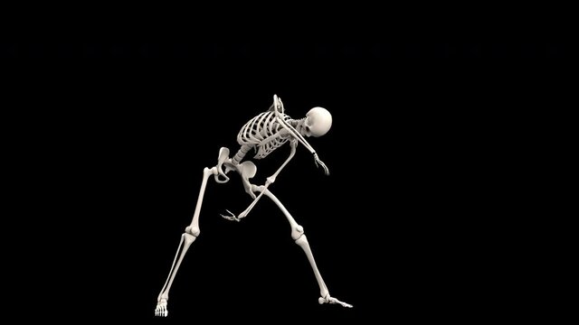 Skeletons Dancing &ndash; 3d render with alpha channel.