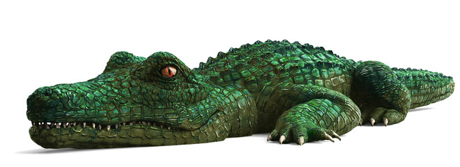 Fototapeta premium Alligator isolated on white background 3d illustration