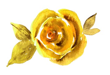 Yellow rose, watercolor hand drawing illustration. Design element for wedding invitations, boho style