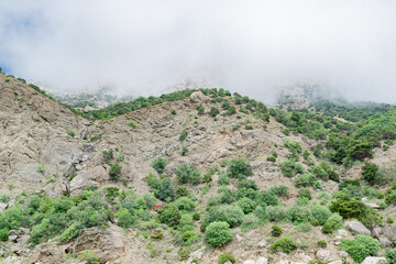 Beautiful view of the top of the mountain