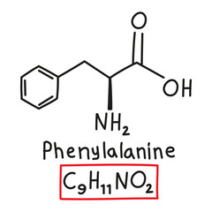 Hand drawn chemical molecular formula of amino acid phenylalanine in doodle style isolated