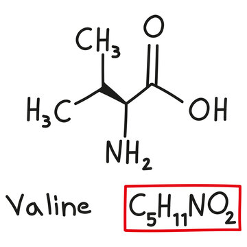 valine structural formula