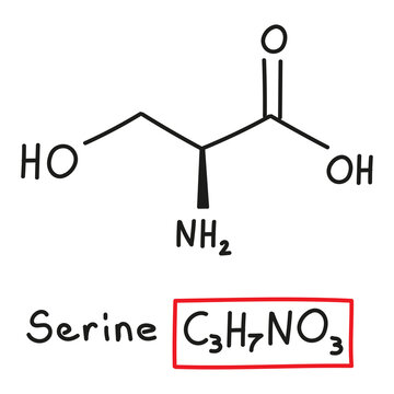 Hand drawn chemical molecular formula of amino acid serine in doodle style isolated