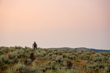 Fototapeta na wymiar Man HIkes Along Specimen Ridge Trail In Yellowstone