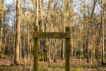 Moss Coverd Cardinal Run Trail Sign
