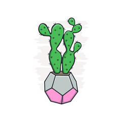 Desert cactus in colorful design flowerpot. Cactus with spikes. Regular cacti. Hygge vector collection.