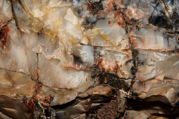 Close up of various colored crystals found in a piece of petrified wood.