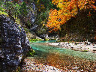 Bella natura in Orrido dello Slizza, vicino alla città di Tarvisio nel nord della regione italiana Friuli Venezia Giulia, Italia