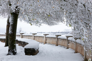 Snowy urban park with benches and white trees
