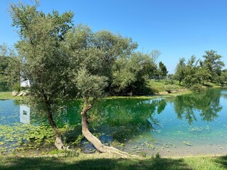 Jarun - small lake or Jarun small lake and the Island of rowers during the summer, Zagreb - Croatia (Jarun - malo jezero ili Jarunsko malo jezero i Otok veslača tijekom ljeta (RŠC Jarun), Zagreb)