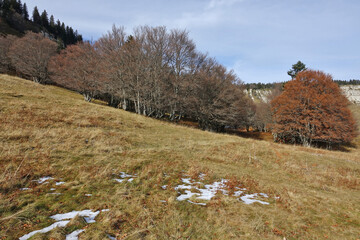 Randonnée automnale au départ d'Engins vers le plateau de la Molière dans le Vercors