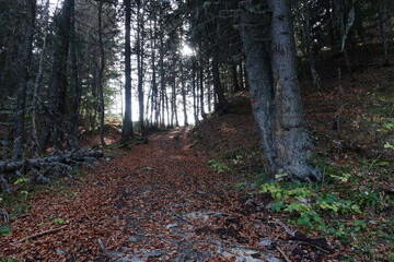 Randonnée automnale au départ d'Engins vers le plateau de la Molière dans le Vercors