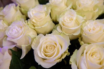 Obraz premium Lots of white rose. Bouquets of roses are congratulatory.