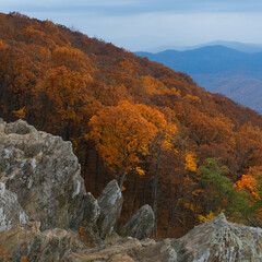 An autumn afternoon in the Blue Ridge Mountains with trees in full seasonal color and a thunderstorm in the background.