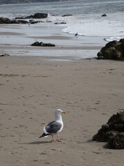 rocks and sea in malibu
