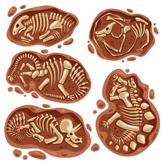 Dinosaur skeleton bones fossil excavations archeology isolated set. Vector flat graphic design cartoon illustration © PrettyVectors