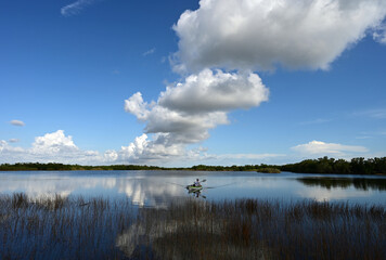 Active senior kayaking on calm waters of Nine Mile Pond in Everglades National Park, Florida on sunny afternoon under beautiful winter cloudscape.