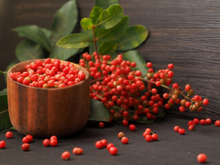 Pink Brazilian pepper and branches of the Brazilian pepper tree