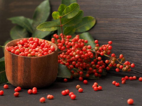 Pink Brazilian pepper and branches of the Brazilian pepper tree
