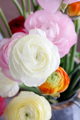 Fototapeta premium Bouquet of colorful persian buttercup flowers (ranunculus).