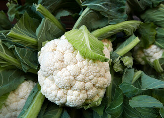 un vivido broccolo nel suo fogliame al mercato