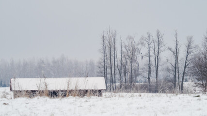 Poland, Mazury, wieś. pole, łąka, drzewa, zima, kolor, czarnobiałe, pejzaż, las, 