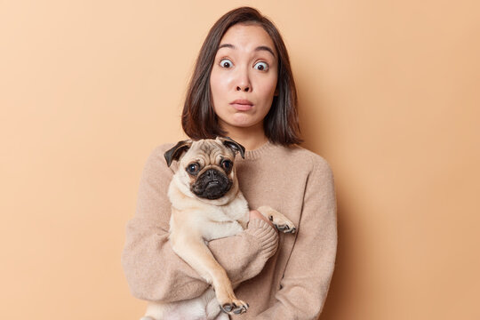 Portrait of shocked woman with eastern appearance holds pug dog finds out about its illness from vet wears casual cashmere jumper isolated over beige background. Asian female with favorite pet