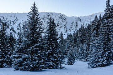 Czarny Kocioł Jagniątkowski zimą.